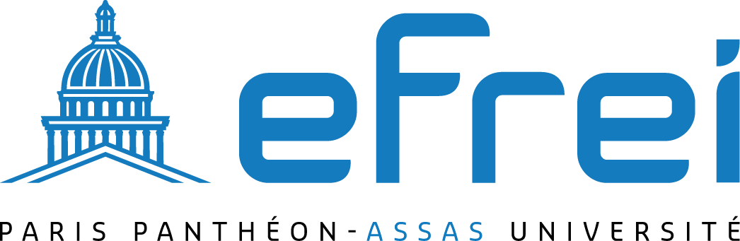 LOGO_EFREI-PRINT_EFREI-WEB